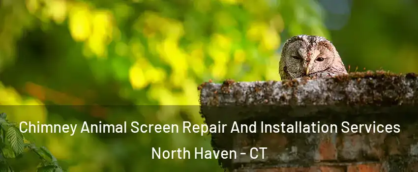  Chimney Animal Screen Repair And Installation Services North Haven - CT