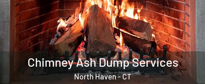  Chimney Ash Dump Services North Haven - CT