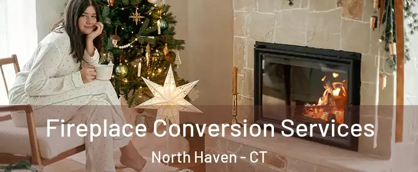  Fireplace Conversion Services North Haven - CT