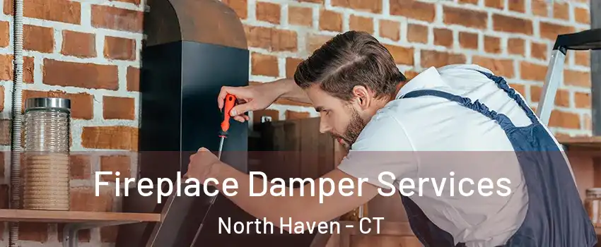  Fireplace Damper Services North Haven - CT