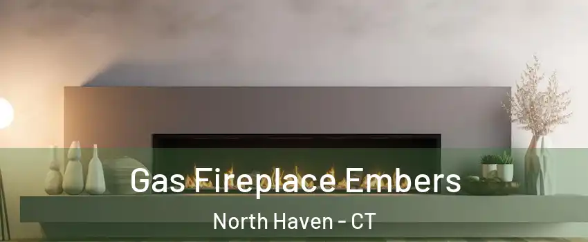  Gas Fireplace Embers North Haven - CT