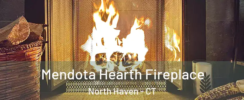  Mendota Hearth Fireplace North Haven - CT