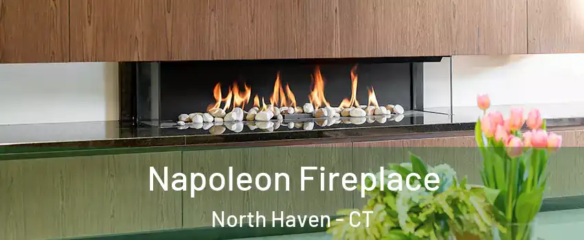  Napoleon Fireplace North Haven - CT